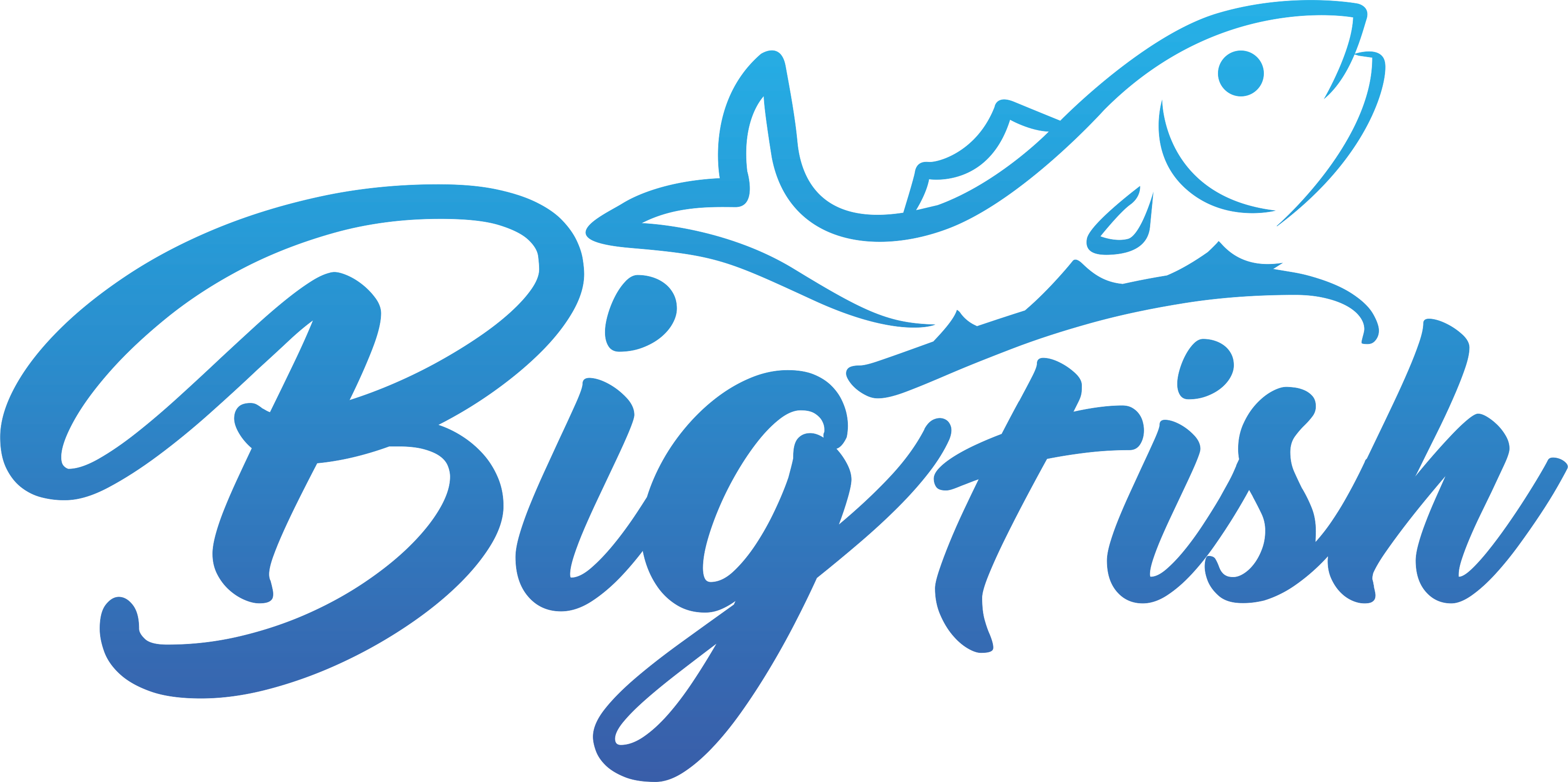 Big Fish Logo